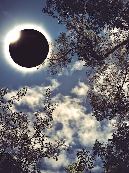 Texas Eclipse Statement