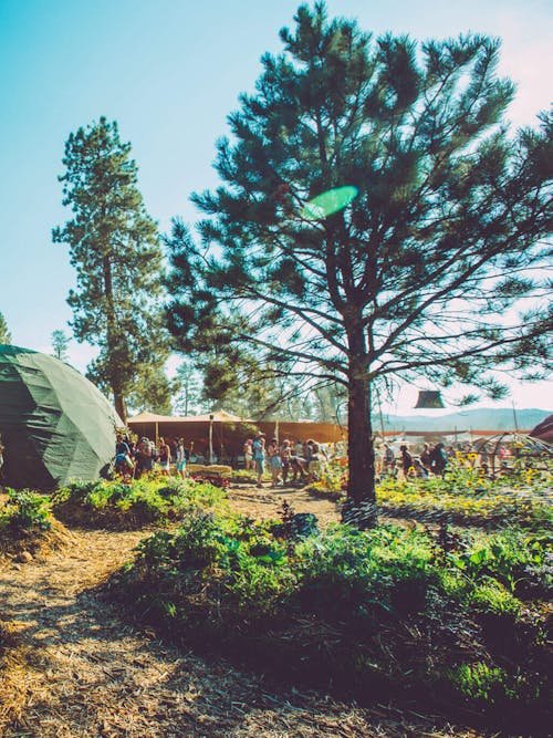 Camping Shuttle Schedule & Map