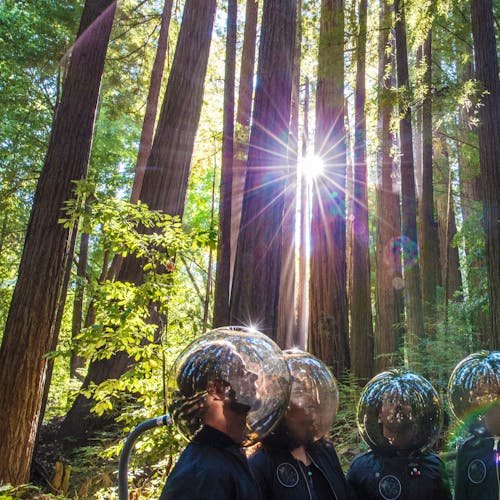 STS9